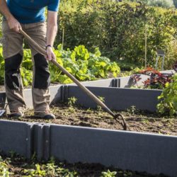 Vegetable box