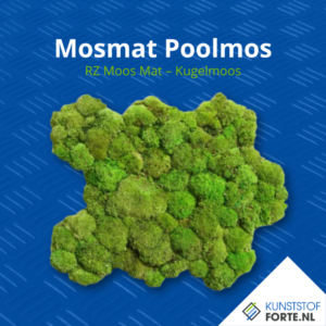 Moss mat Pool Moss, durable and decorative mat with natural moss for creative and functional applications.