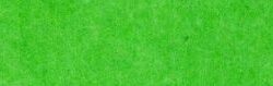 PET Felt Apple Green